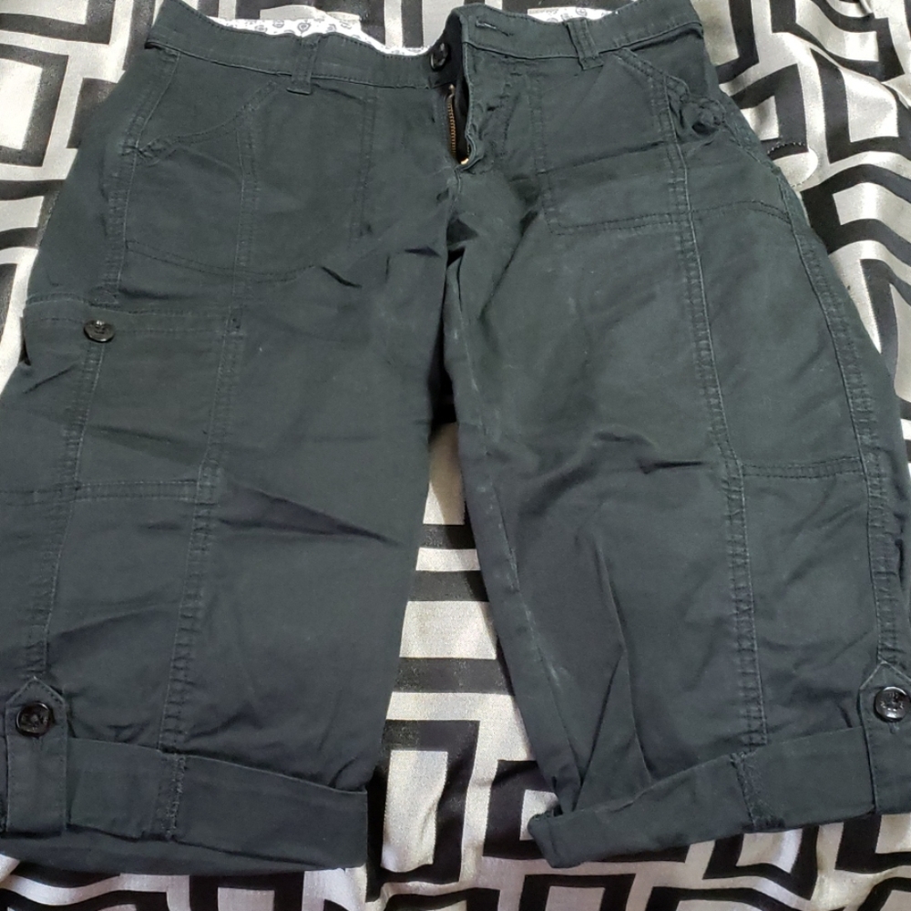 Lee Capris